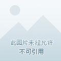 江湖情仇1—9外传