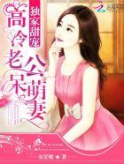 高冷老公呆萌妻辛呓呓